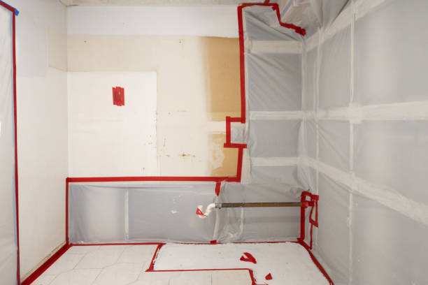 Trusted North Redington Beach, FL Mold Removal Experts