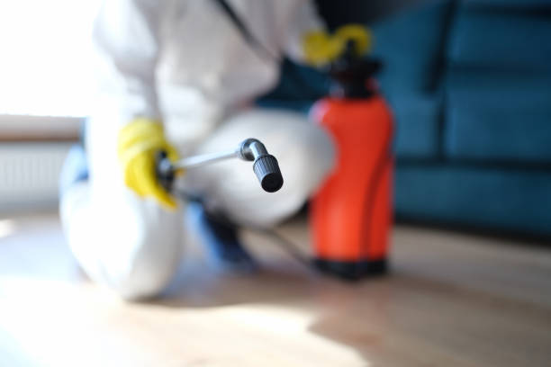Best Real Estate Mold Inspection  in North Redington Beach, FL