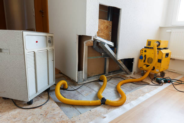 Biohazard Mold Removal in North Redington Beach, FL